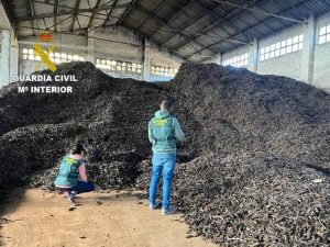 Dos detenidos por el robo de más de 37 toneladas de algarrobas Dos detenidos por el robo de más de 37 toneladas de algarrobas