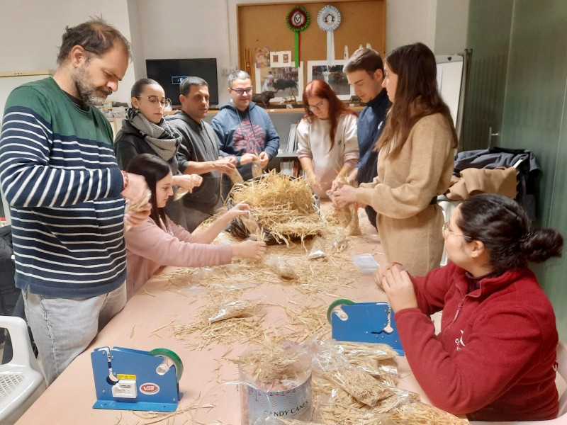 La Cabalgata de Reyes de Almassora recupera el recorrido tradicional