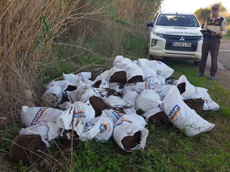 Restos de más de 100 plantas de Marihuana en el Paisaje Protegido del río Mijares