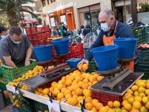 Castellón celebra la ‘Fira de la taronja’ en Navidad