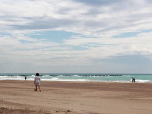 Ya se puede acceder con animales de compañía a la playa de Burriana