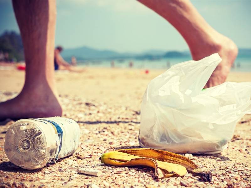 La propuesta de Ciudadanos (Cs) para recoger residuos plásticos en las playas de la Comunitat Valenciana es aprobada por el Consell