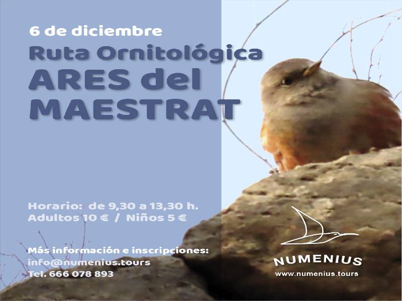 Diciembre se presenta con tres excursiones en Ares del Maestrat para disfrutar de su patrimonio cultural