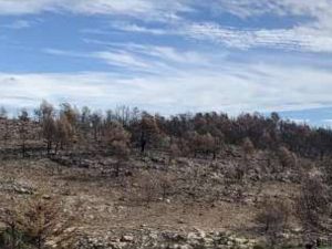 Jornada de limpieza de basura para este sábado en Torás tras el incendio de este verano