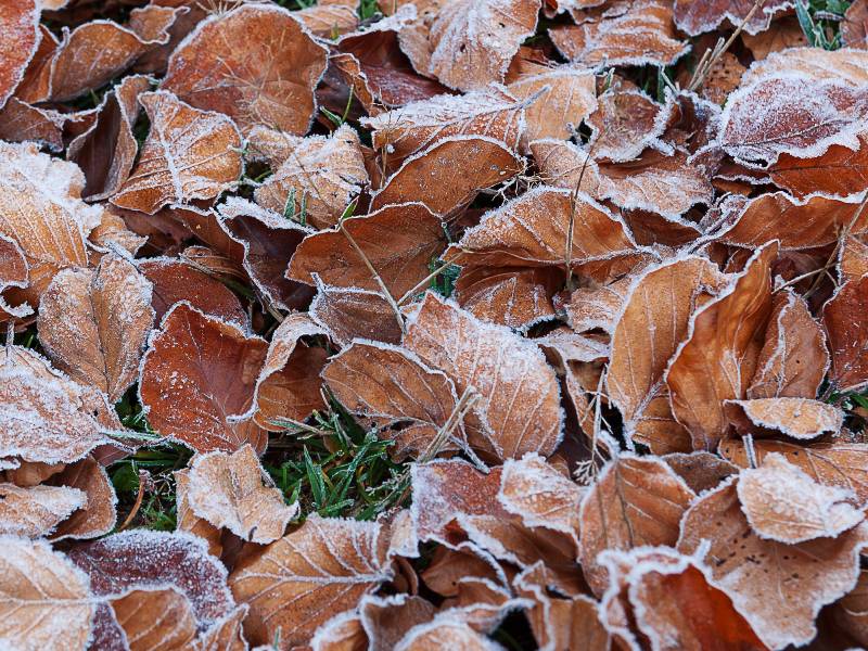 Avisos desde Sanidad por riesgo de bajas temperaturas en la Comunitat Valenciana