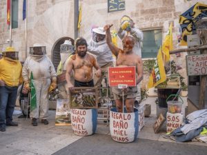 Los Apicultores valencianos se ‘bañan en miel’ ante Les Corts en señal de protesta