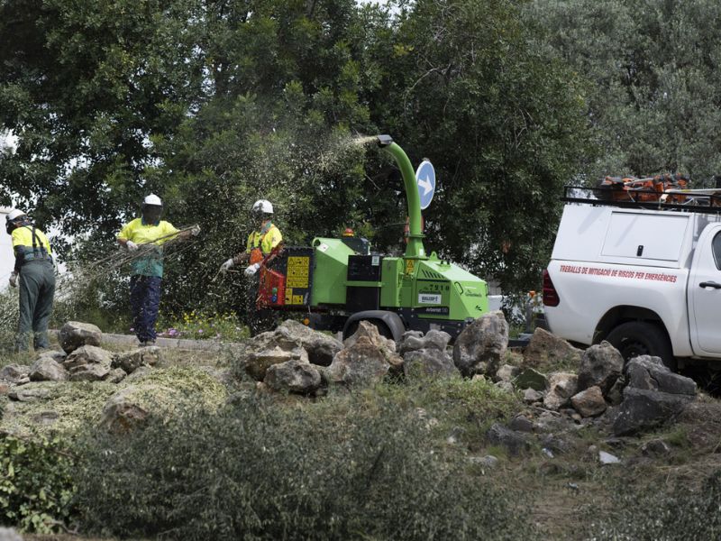 Fajas antiincendios en la provincia de Castellón: una medida preventiva efectiva