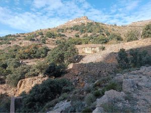 Ares del Maestrat repara els murs de pedra en sec del Barranc dels Molins