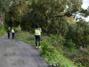 Investigación de fraude con ayudas europeas mediante un sindicato agrario en la Comunitat Valenciana