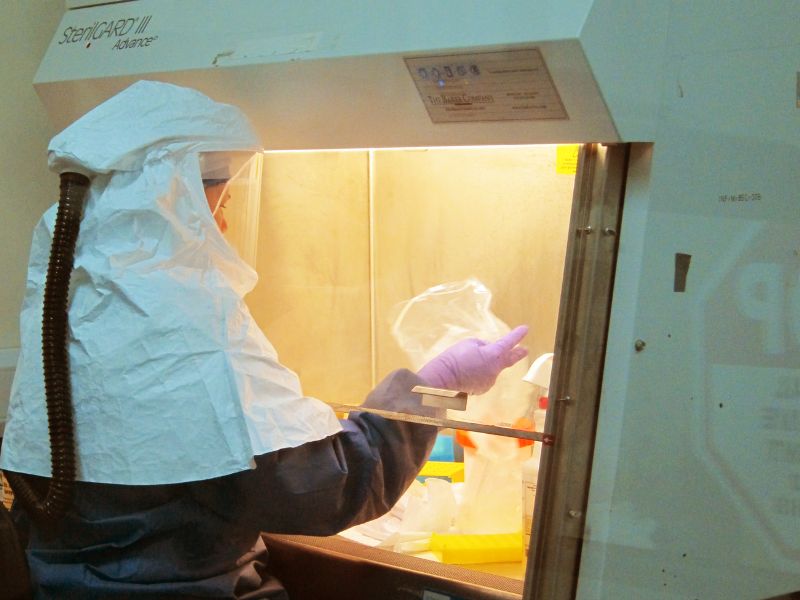 Falta una segunda prueba para descartar la infección por virus de Marburgo