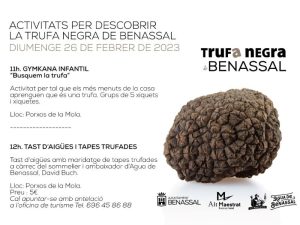Actividades para descubrir la trufa negra de Benassal Actividades para descubrir la trufa negra de Benassal