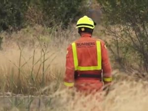 Muere un hombre atrapado bajo un árbol caído en Carlet