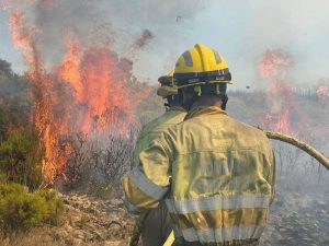 Incendio de Villanueva de Viver (Castellón): El fuego ha saltado a la zona de Montán