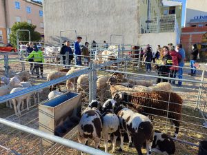 Todo preparado para celebrar ‘La Fira 2023’ de Vall d’Alba – Castellón