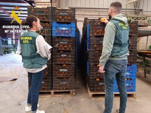 Detenidos por hurto y receptación de 4000 kilos de naranjas en Vinaròs y Sant Jordi