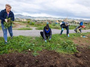 Fechas y horarios ‘Talleres Huertos Urbanos Comunitarios de Castellón’ marzo de 2023