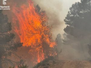 Declarado incendio forestal en Coves de Vinromá (Castellón)