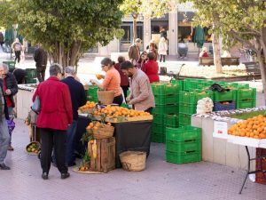 Bases y funcionamiento del Mercat Agroecològic Sabora en Castelló 2023