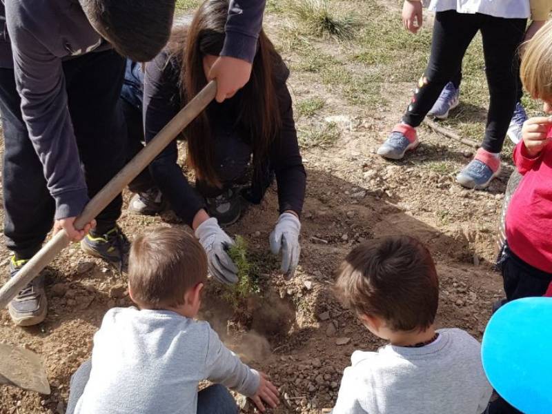 Juventud de Alto Palancia se une a la iniciativa de reforestación tras el incendio de agosto