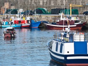 Pescadores encuentran dos cadáveres en el mar de Dénia – Alicante