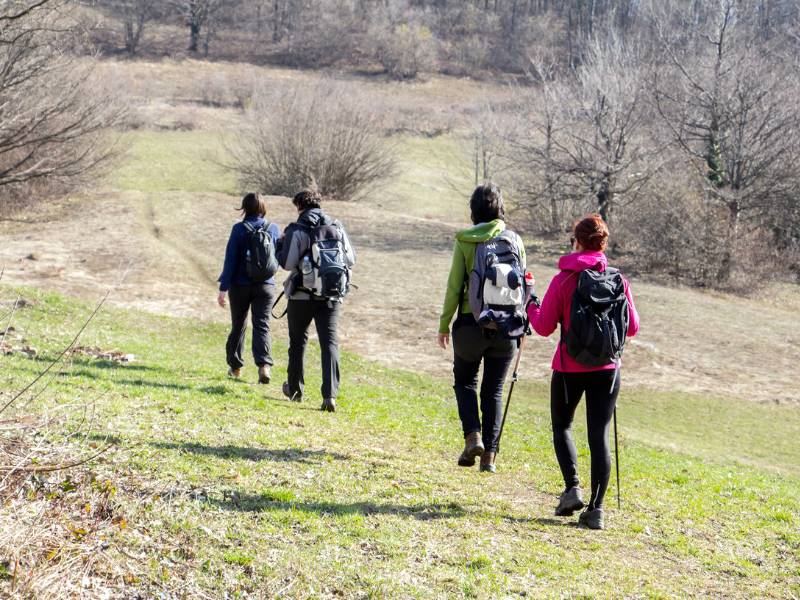 Marcha senderista ‘Palanques y Els Ports-GR 331.1’