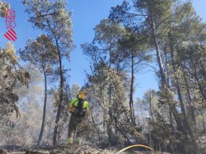 Publicado el plazo para solicitar ayudas por el incendio de Villanueva de Viver (Castellón)