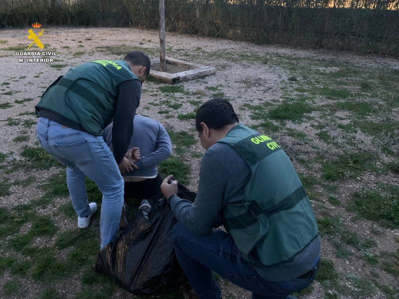 Detenido por un cultivo indoor tras provocar un corte en el suministro eléctrico de su edificio en Silla (Valencia)