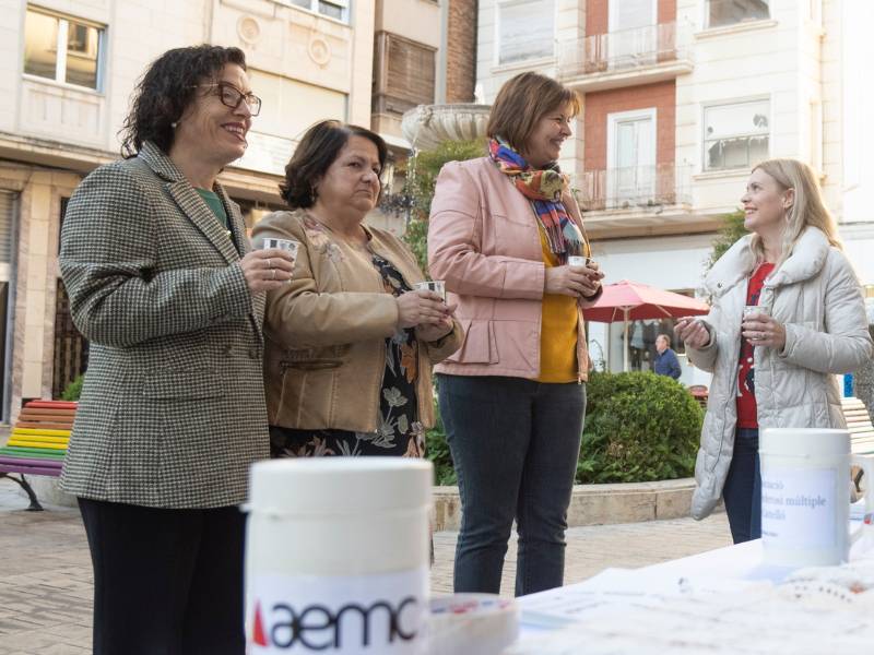 Subvenciones para el transporte adaptado de personas con movilidad reducida en la Provincia de Castellón