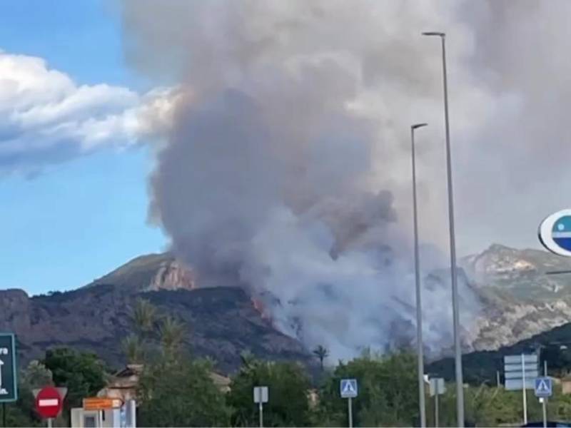 Incendio forestal en la zona de la Casella de Alzira (Valencia)