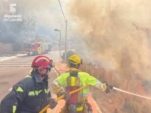 Incendio forestal en Torre Bellver de Oropesa (Castellón)