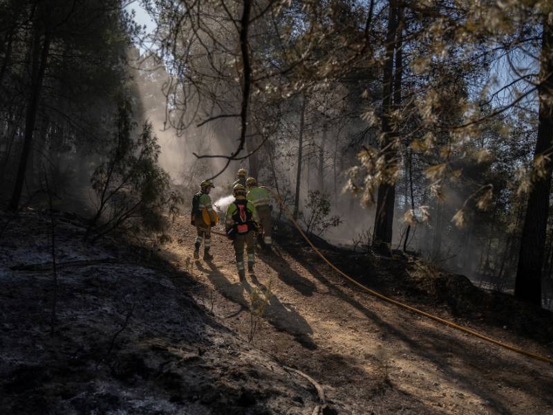 El Consell se reúne en Montanejos para aprobar medidas de ayuda a los afectados por el incendio