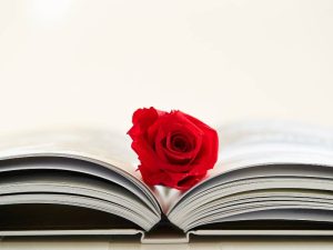 El Casal d’Acció Cultural de Vila-real (Castelló) munta per Sant Jordi 2023 la parada de llibres i roses