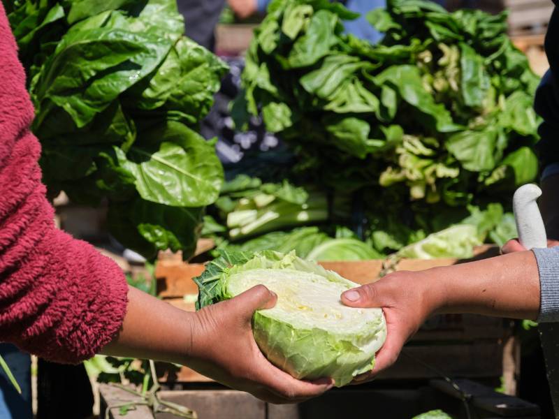 Se ha inaugurado el mercado agroecológico «Sabora» de Castellón