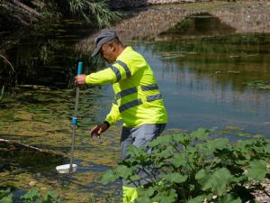 Siguen los tratamientos terrestres contra los mosquitos en la provincia de Castellón