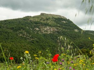 ‘ASICS Penyagolosa Trails 2023’ realiza el estudio del impacto ambiental en el Parque Natural del Penyagolosa