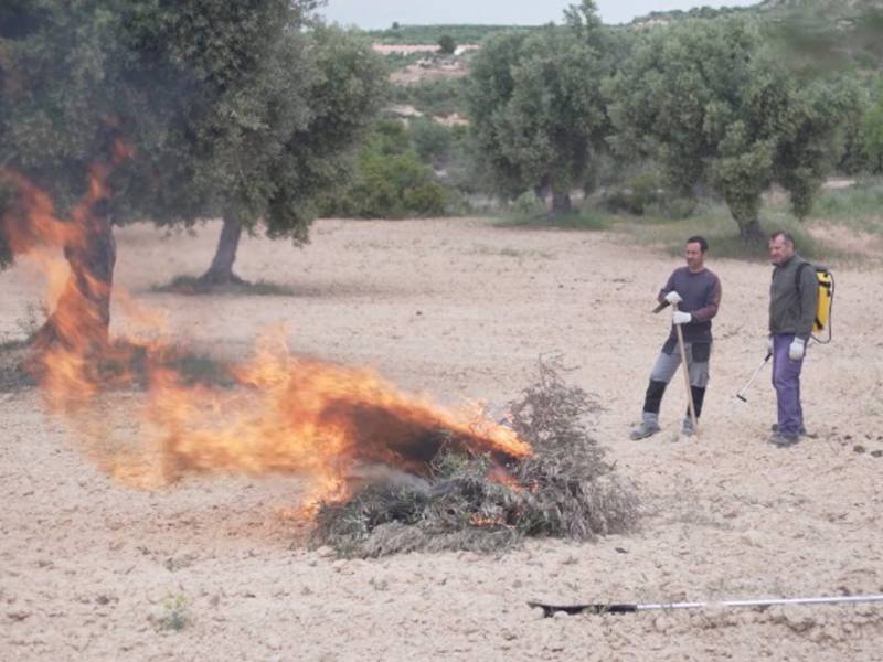 Vuelve el permiso de quemas de residuos agrícolas en la Comunitat