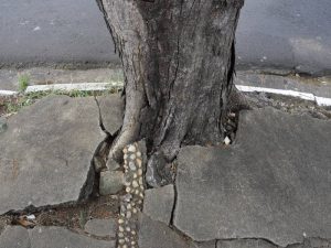 Obras de urgencia en el camino de la Ermita de Vila-real (Castellón)