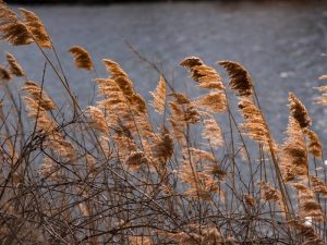 Alerta naranja en el interior norte de Castellón por rachas de viento de hasta 100 km/h