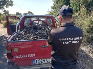 Aumentan las denuncias por robos en el campo con mas de tres diarios en la Comunidad Valenciana