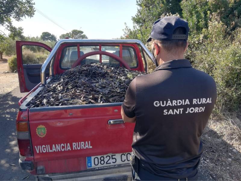 Aumentan las denuncias por robos en el campo con mas de tres diarios en la Comunidad Valenciana