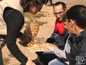 Convocatoria para organizar actividades de educación ambiental verano 2023 en Castellón