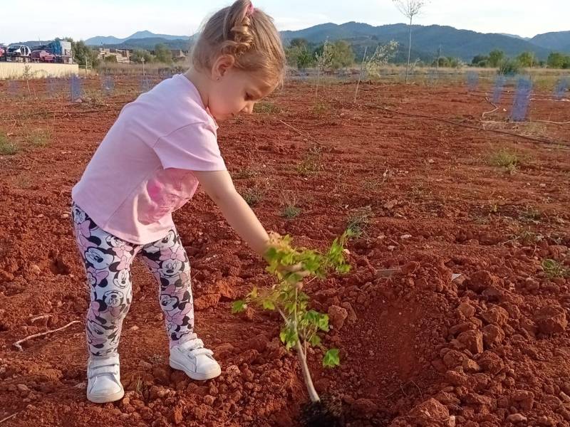 Siguen las inscripciones para plantar árboles en el Bosque Olímpico de Onda (Castellón)