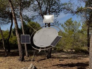 ‘De la piedra seca a las plantas del futuro’: El arte del IVAM en las poblaciones pequeñas de Els Ports – Castellón