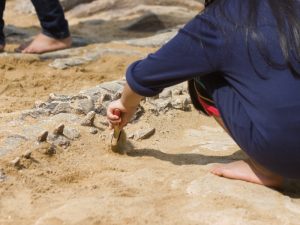 Aparecen fragmentos fósiles de nuevo dinosaurio ‘espinosáurido’ en Cinctorres (Castellón)