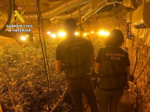 Desarticulada organización criminal en Castellón dedicada al cultivo de marihuana indoor en Oropesa del Mar