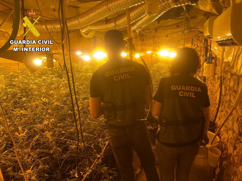 Desarticulada organización criminal en Castellón dedicada al cultivo de marihuana indoor en Oropesa del Mar