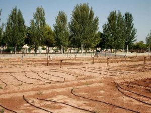 Faltan 15 días para poder solicitar el uso de huertos urbanos para autoconsumo en Almassora (Castellón)