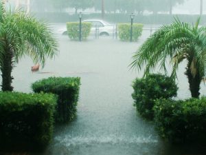 Suspendidads las clases en la Universidad de Alicante por el «empeoramiento de la emergencia climatológica»