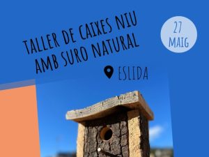 Jornada para la conservación de aves y murciélagos en Eslida con jóvenes de Nules (Castellón)