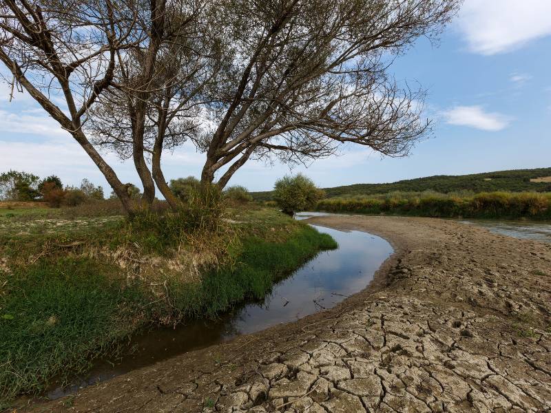 La Comunidad Valenciana afronta el comienzo de año más seco de los últimos 40 años